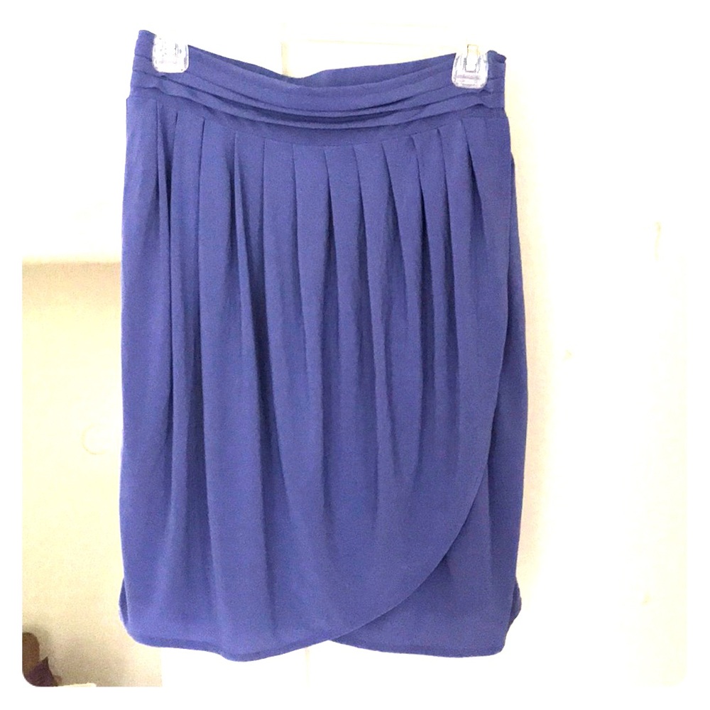 ⭐️3/$20 Periwinkle skirt